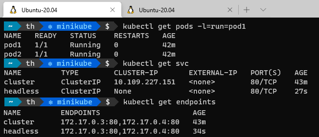 Salida de kubectl mostrando los pods y los endpoints del servicio